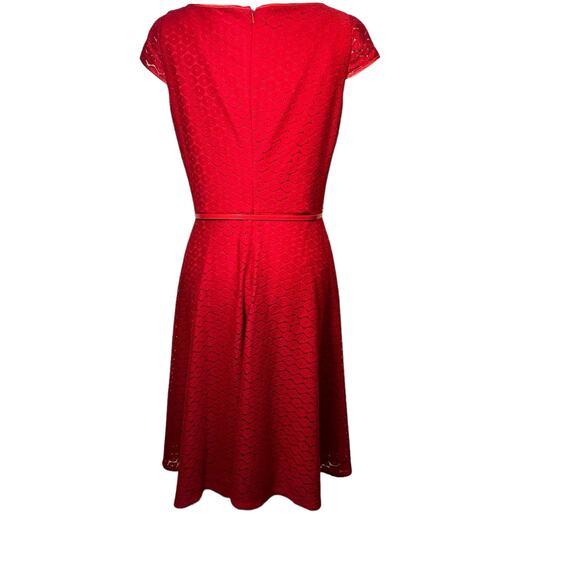 Black Label by Evan Picone Short Knee Length Lace Dress 8 Tradwife Twee Feminine - Picture 2 of 16